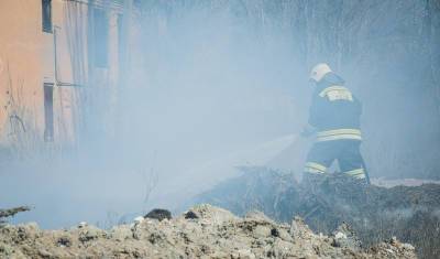В МЧС Башкирии объяснили, почему лесные пожары не тушат при помощи самолетов