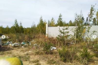 Из мест лесного пожара в Марий Эл вывели четыре куба мусора