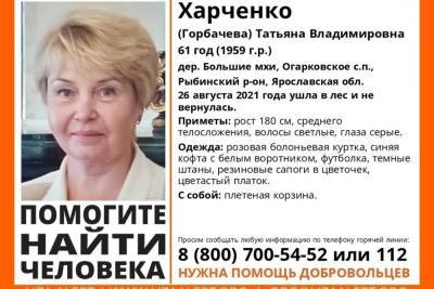 В Ярославской области разыскивают очередную пенсионерку-любительницу грибов