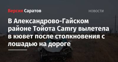 В Александрово-Гайском районе Тойота Сamry вылетела в кювет после столкновения с лошадью на дороге