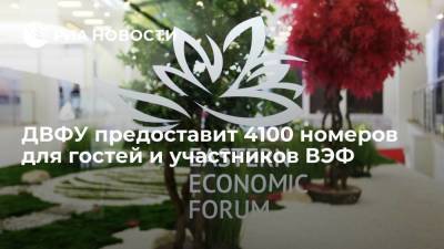 И.о. ректора Кошель: ДВФУ предоставит 4100 номеров для участников Восточного экономического форума