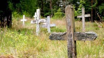 Возле кладбища найдено тело пропавшего череповчанина