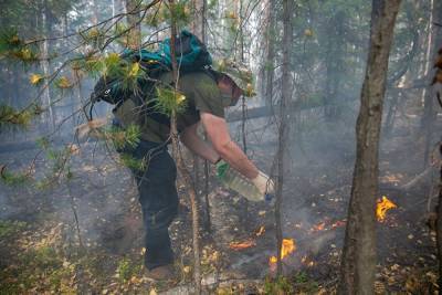 На Урале задержали четырех человек, подозреваемых в поджоге леса под Первоуральском