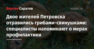 Двое жителей Петровска отравились грибами-свинушками: специалисты напоминают о мерах профилактики