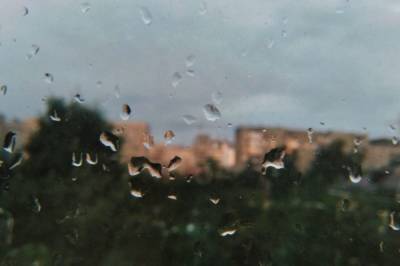 В Московском регионе не ожидается дождей в выходные
