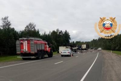 Грузовики столкнулись в Карелии: погибли оба водителя
