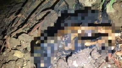 Житель Бат-Яма сжег заживо свою собаку у оживленной развязки