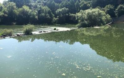 Убытки от загрязнение реки Тетерев в Житомире составили 23 млн гривен