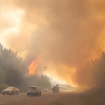 Дым от пожаров в Курганской области дошел до Челябинской области