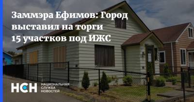 Заммэра Ефимов: Город выставил на торги 15 участков под ИЖС