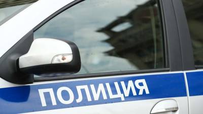 Семь человек задержаны за массовую драку на северо-западе Москвы