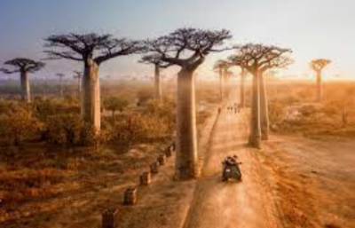 Мадагаскар на грани &quot;катастрофического&quot; голода из-за изменения климата