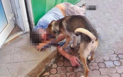 В Запорожье пес защищал своего хозяина, потерявшего сознание (ВИДЕО)
