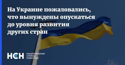 На Украине пожаловались, что вынуждены опускаться до уровня развития других стран