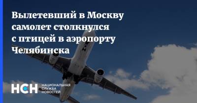 Вылетевший в Москву самолет столкнулся с птицей в аэропорту Челябинска