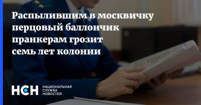 Распылившим в москвичку перцовый баллончик пранкерам грозит семь лет колонии - nsn.fm - Москва