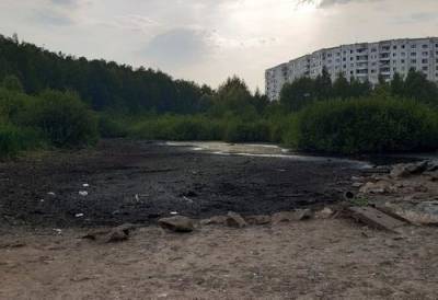 В Перми из-за жары полностью высохло Утиное болото