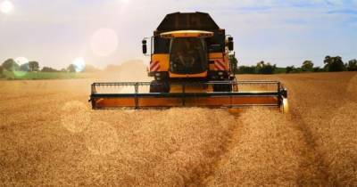 Украина в 2021 году впервые соберет больший урожай пшеницы и ячменя, чем в УССР