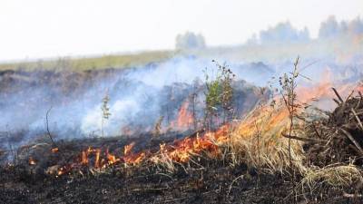 На Южном Урале продолжают тушить лесные пожары под Пластом, Кыштымом и Челябинском