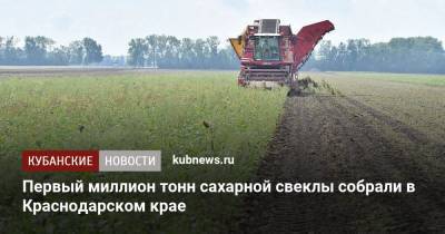 Первый миллион тонн сахарной свеклы собрали в Краснодарском крае