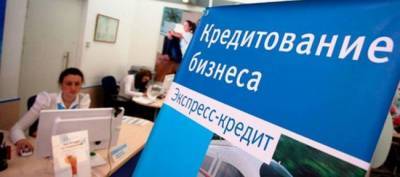 Четверть микрозаймов в России выдаются малому и среднему бизнесу