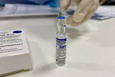 Вирус «кастрируют»: Вирусолог из Башкирии объяснил принцип действия векторных вакцин