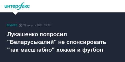 Лукашенко попросил "Беларуськалий" не спонсировать "так масштабно" хоккей и футбол