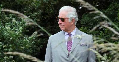 Принц Чарльз может отказаться от престола – СМИ