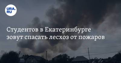 Студентов в Екатеринбурге зовут спасать лесхоз от пожаров. Обещают еду и деньги