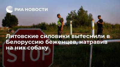 Погранкомитет Белоруссии: литовские силовики пригнали к границе 17 беженцев, натравив на них собаку