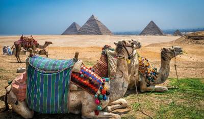 Росавиация разрешила еще девяти авиакомпаниям летать на курорты Египта