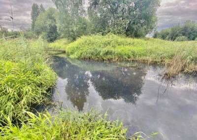 Конструкторское бюро оштрафовано за сброс сточных вод в Славянку