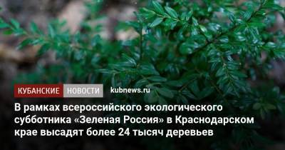 В рамках всероссийского экологического субботника «Зеленая Россия» в Краснодарском крае высадят более 24 тысяч деревьев