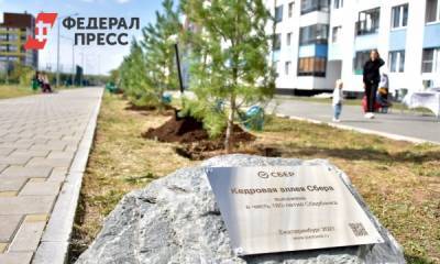 В Академическом районе Екатеринбурга Сбербанк высадил кедровую аллею