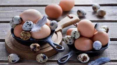 В Ленинградской области выросло производство яиц