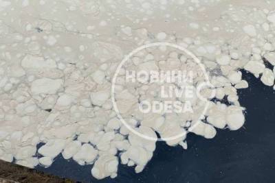 Белые пятна и вонь: После ливня в Одессе море покрылось странной пеной
