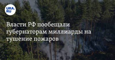 Власти РФ пообещали губернаторам миллиарды на тушение пожаров