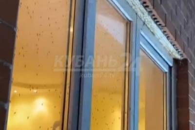 После наводнений города Кубани атаковали полчища комаров