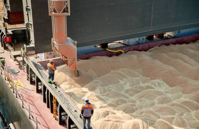Aria Commodities отправила на экспорт первый панамакс с украинской пшеницей