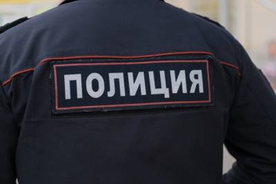 В Петербурге арестовали блогера, снимавшего видео в полицейской форме