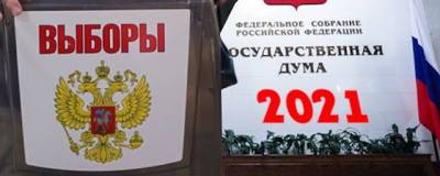 Политолог: Предвыборные программы некоторых партий противоречиво описывают пути развития РФ