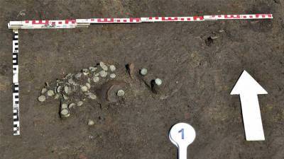 Археологи нашли 147 античных монет во время раскопок в Краснодарском крае