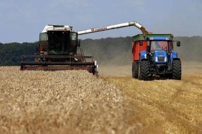 СовЭкон снизил прогноз экспорта пшеницы из РФ в сезоне 21/22 гг на 3,2 млн т до 33,9 млн т