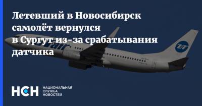 Летевший в Новосибирск самолёт вернулся в Сургут из-за срабатывания датчика