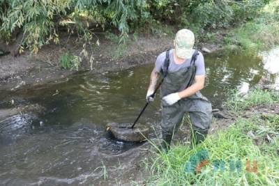 Активисты из ЛНР расчистили часть реки Ольховая в Роскошном