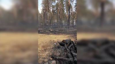 Воронежцы сообщили о продолжающемся пожаре на Кожевенном кордоне