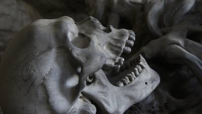 Останки жертв извержения вулкана Везувия помогли определить рацион римского общества