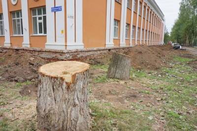 В Сыктывкаре у школы им. Олега Кошевого высадят новые деревья взамен срубленных