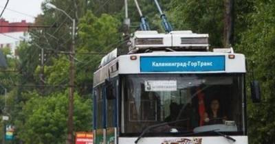 В Калининграде полиция задержала укравших троллейбусные провода братьев