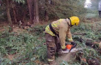 Вблизи Херсона деревья завалили 4 км дороги - agrimpasa.com - Украина - Херсон